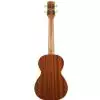 Hoefner Ukulele ′13 Tenor