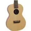 Hoefner Ukulele ′13 Tenor