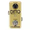 TC electronic TC Ditto Looper Gold