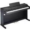 Roland RP 301 SB