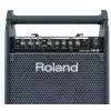 Roland PM-30 