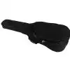 Canto Evolution 2.0 RD