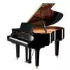 Yamaha C2X SH PE Silent