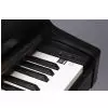 Kawai CN 24 B
