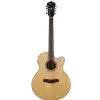 Ibanez AEL 108 TD NT