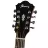 Ibanez AEL 108 TD NT