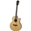 Ibanez AEL 108 TD NT