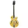 Epiphone Wildkat AN