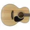 Takamine G220S