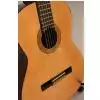 EverPlay EP-100 Malaga