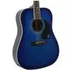 Epiphone PRO 1 Plus Acoustic TL