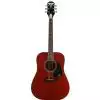 Epiphone PRO 1 Plus Acoustic WR