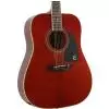 Epiphone PRO 1 Plus Acoustic WR