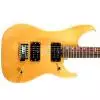 Washburn N1 NM