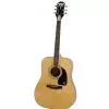 Epiphone PRO 1 Plus Acoustic NA