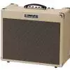 Roland Blues Cube Stage