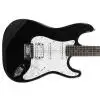 Cort STAT3 BK