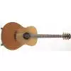 Furch G21-CR