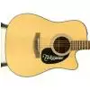 Takamine EG320SC-NS