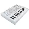 Arturia Microbrute SE White