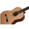 Dowina CL555