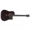 Stagg SW203CE-TR