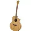 Ibanez AEW 40 AS NT