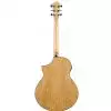 Ibanez AEW 40 AS NT
