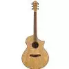 Ibanez AEW 40 AS NT