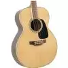 Takamine GN51 NAT