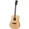 Dowina Puella D12