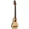 Washburn Rover Travel RO 10 N