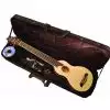 Washburn Rover Travel RO 10 N