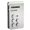 Fishman Platinum Stage