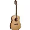 Washburn WD10 NS