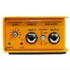 Radial X-Amp