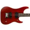 Washburn N1 PS
